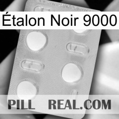 Étalon Noir 9000 24